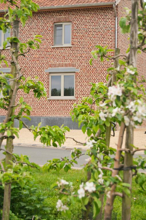 B&B De Fruithoeve Hoeselt Buitenkant foto